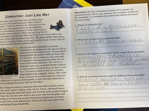 3. Reading comprehension questions and answers